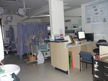 a0118447_18411416.jpg