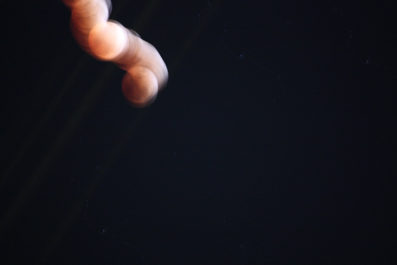c0073649_2321252.jpg