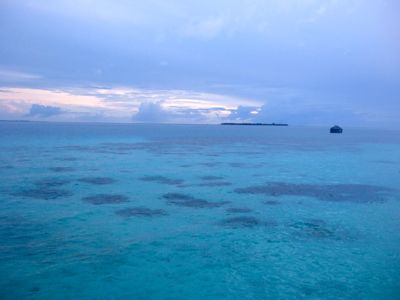 f0190653_14544239.jpg