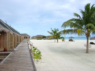 f0190653_15352549.jpg