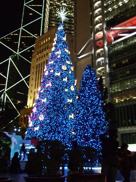 f0190653_172912.jpg
