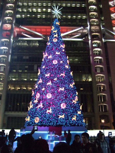 f0190653_17293742.jpg