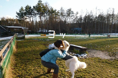 a0166954_2151719.gif