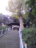 b0228954_1431464.jpg