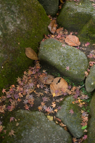f0176458_11411185.jpg