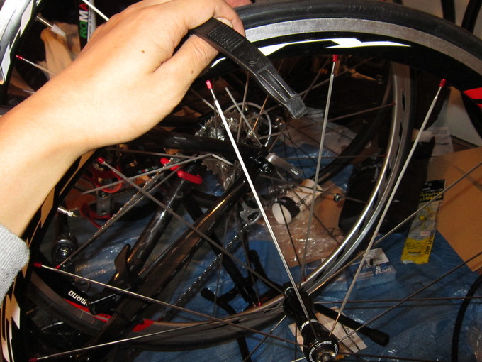 b0232759_475083.jpg