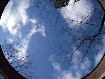 c0050264_1935716.jpg