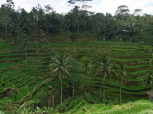 f0002265_20241537.jpg