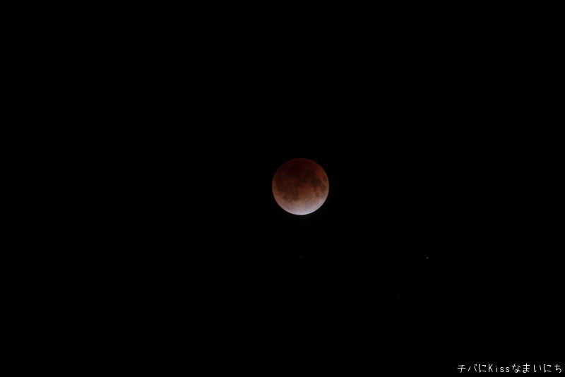 b0131071_10285965.jpg