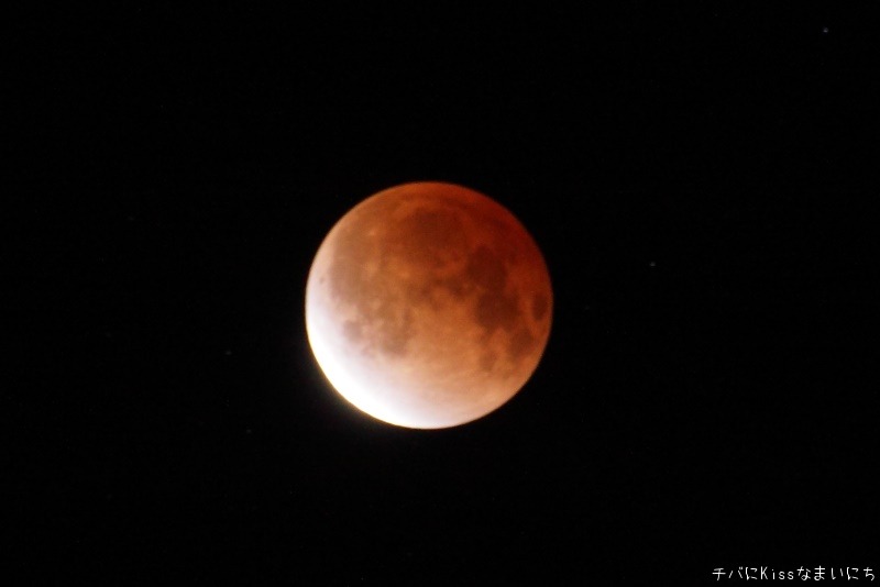 b0131071_10341534.jpg