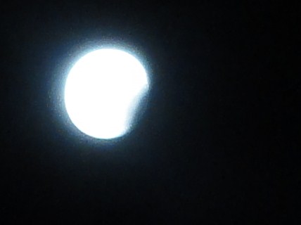 d0109373_3184114.jpg