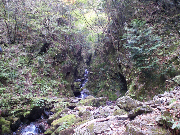 f0117673_22431750.jpg
