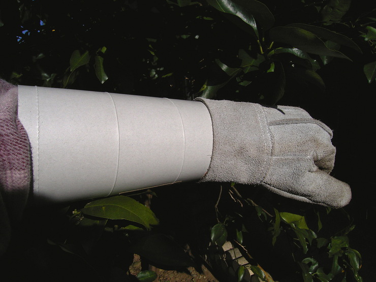 d0225575_21472015.jpg