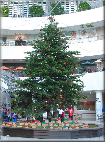 e0099375_2075192.jpg