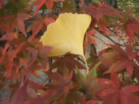f0047576_18332427.jpg