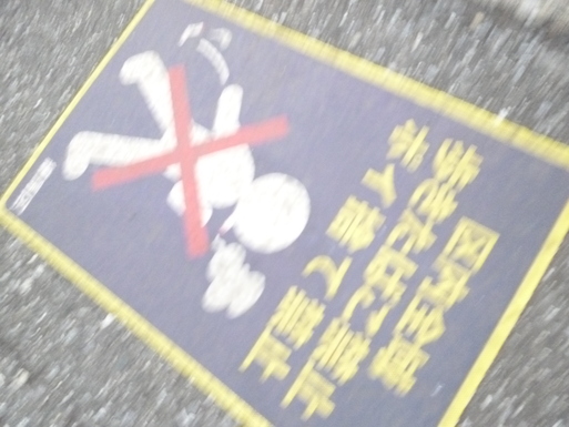c0182782_19513052.jpg