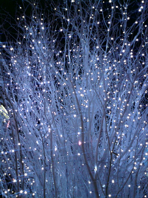 c0122788_61224.jpg