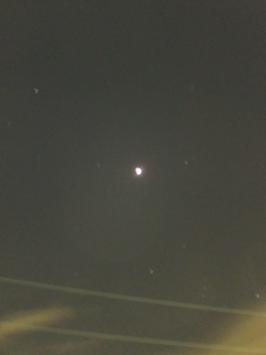 c0142491_7342394.jpg