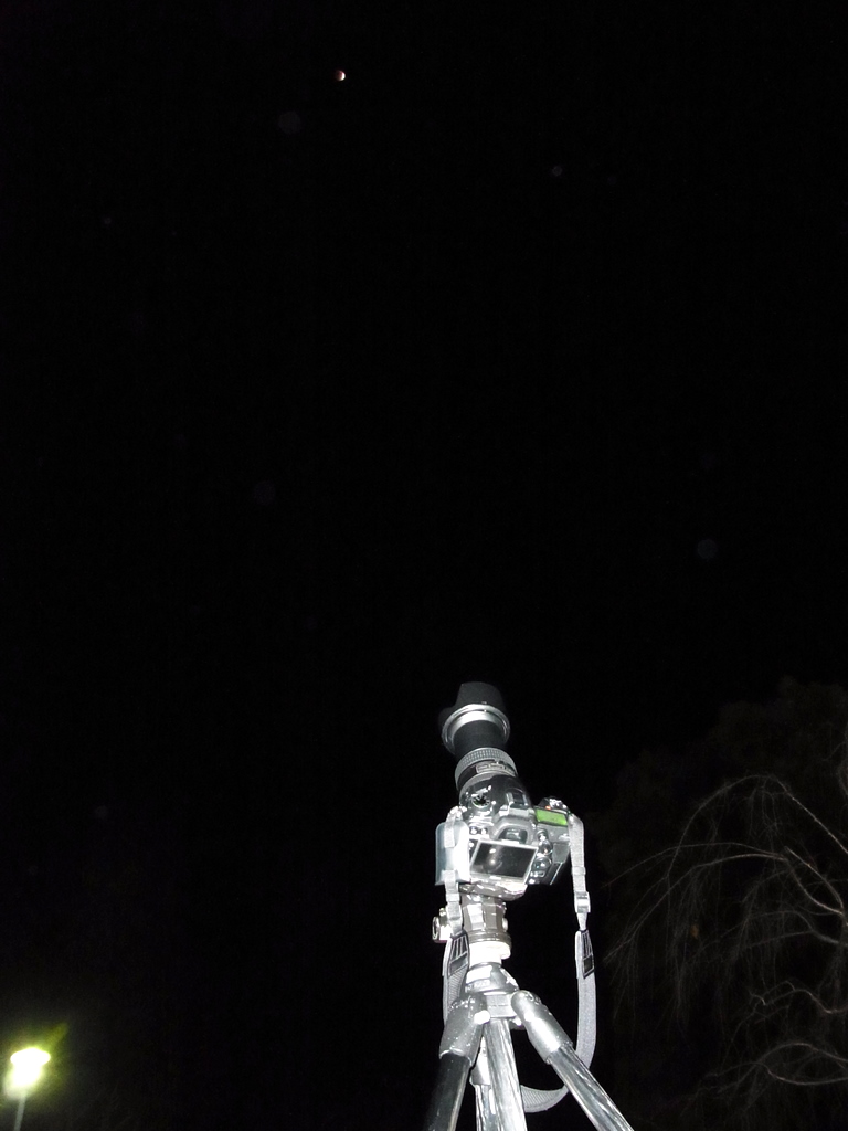 f0144892_2034671.jpg