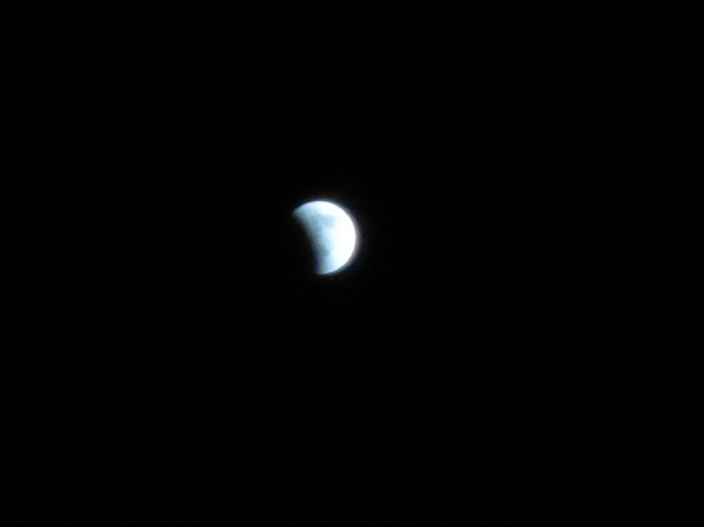 d0098295_16595356.jpg