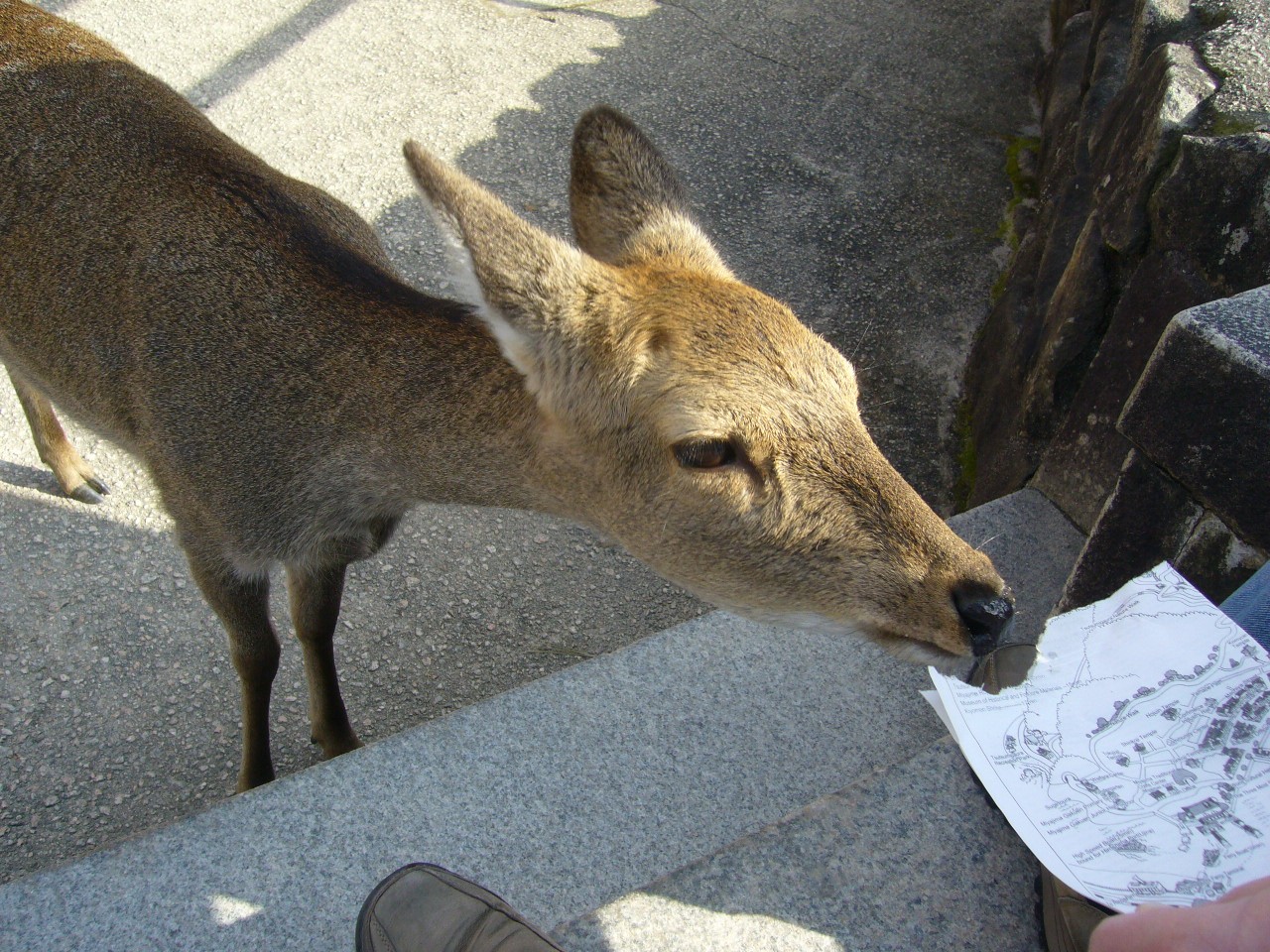 f0169397_21305965.jpg
