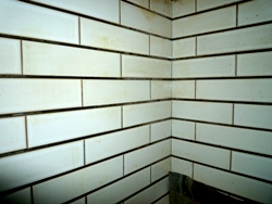 d0180499_131546100.jpg