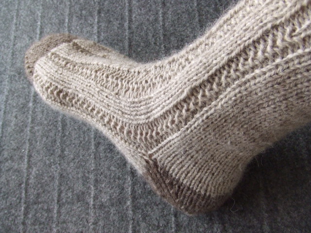 e0180099_1556955.jpg