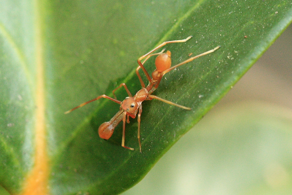 d0147002_11375246.jpg