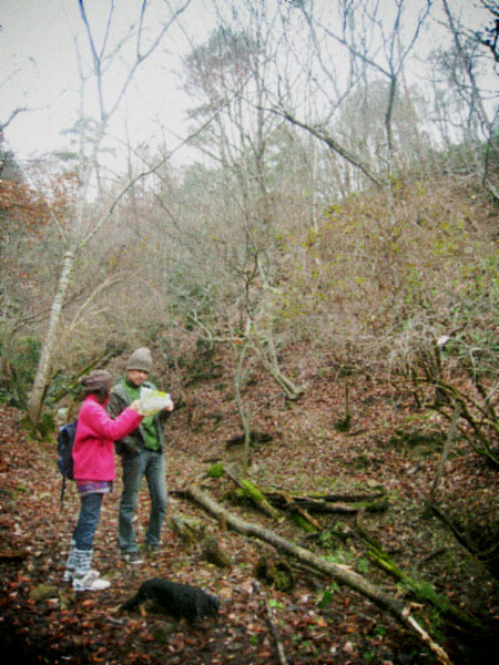 d0077603_8532477.jpg