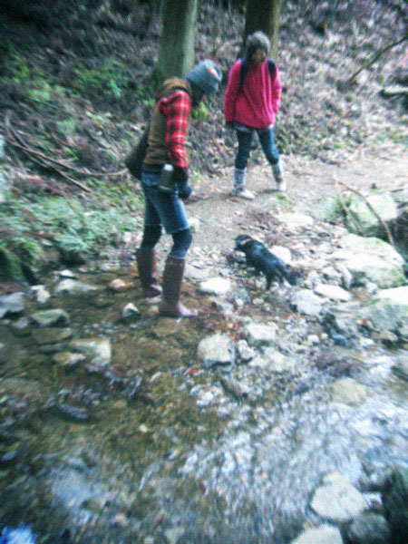 d0077603_8552049.jpg