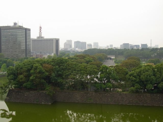 a0212807_15741.jpg