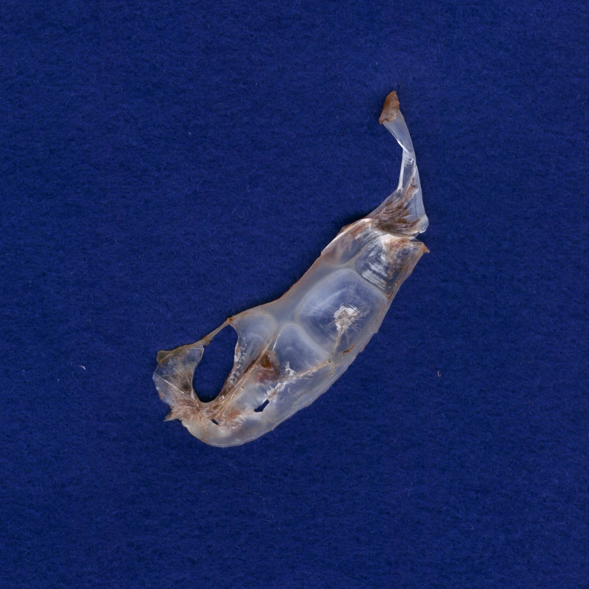 e0142611_2218387.jpg
