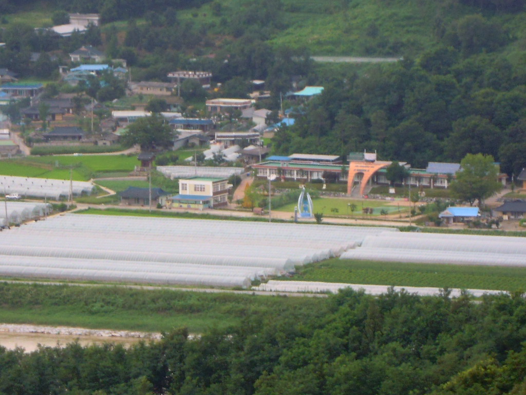 b0199822_21182821.jpg