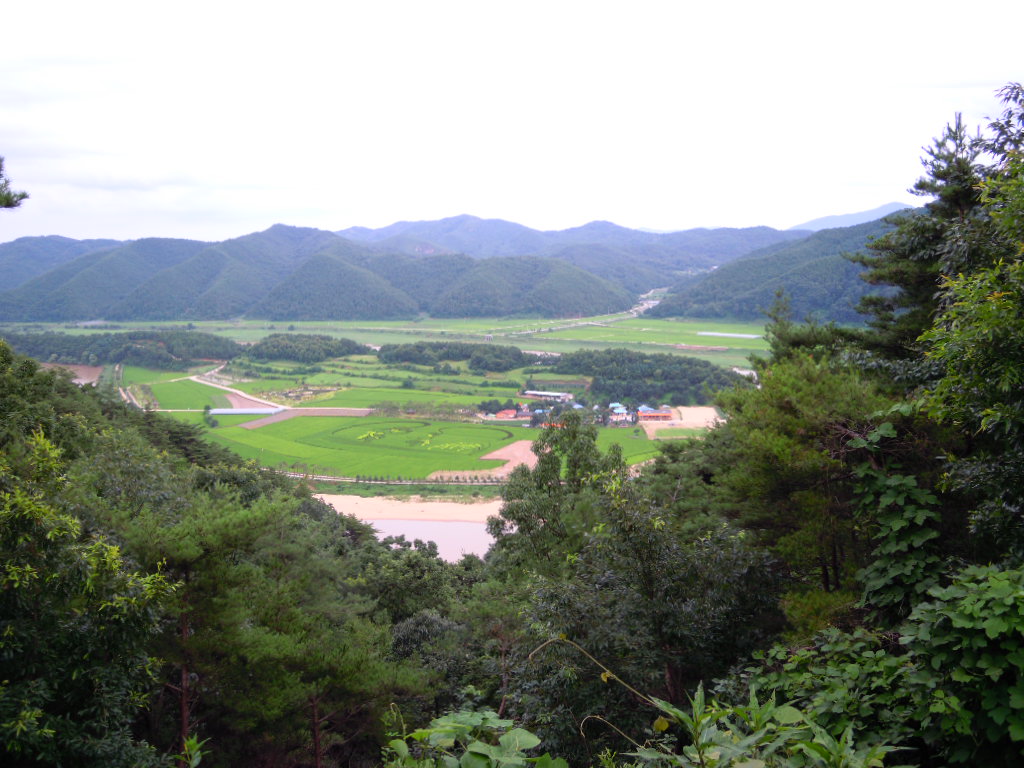 b0199822_21321953.jpg
