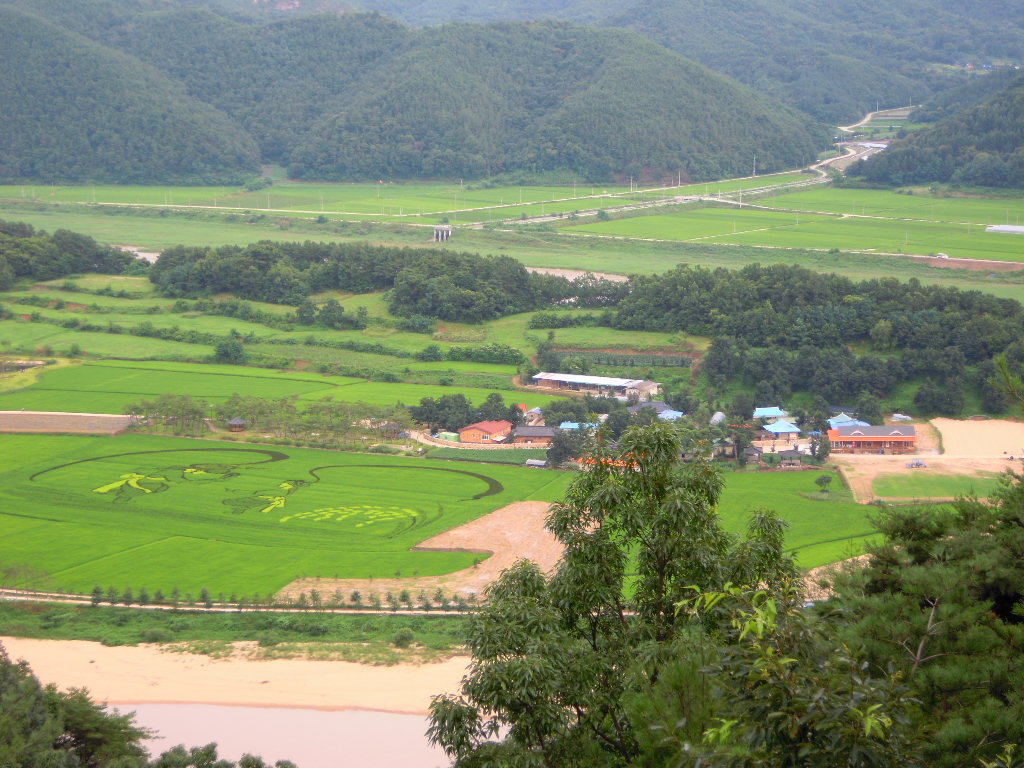 b0199822_21335031.jpg