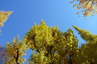 e0203322_2272436.jpg