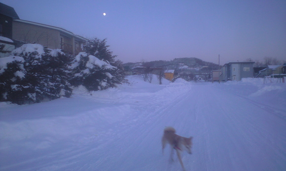 e0227023_2202224.jpg