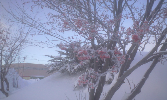 e0227023_221351.jpg