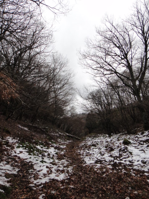 c0189724_2016558.jpg
