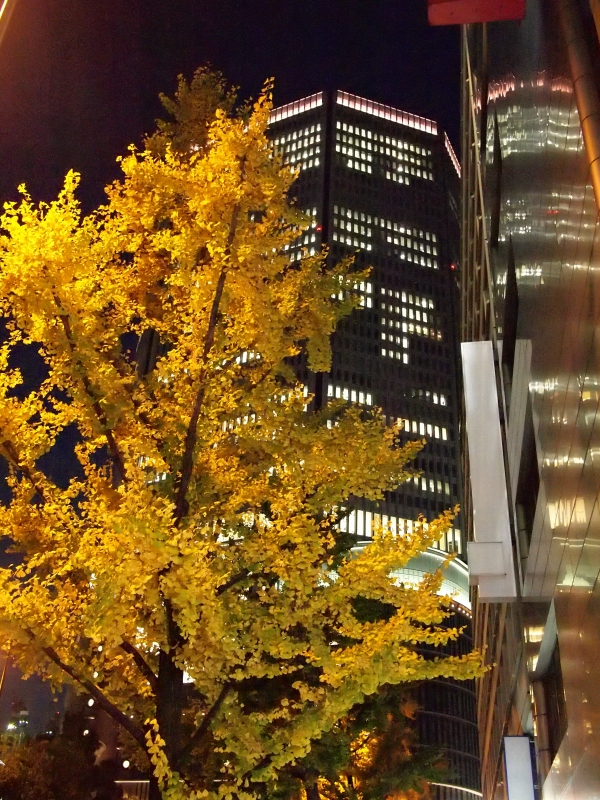 d0252924_1075870.jpg