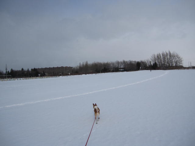 e0191826_0175471.jpg