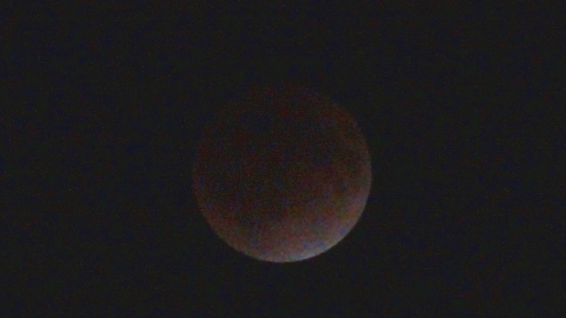 a0132631_041980.jpg