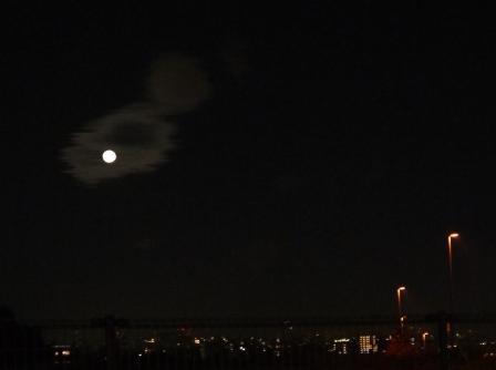 a0146431_14452381.jpg