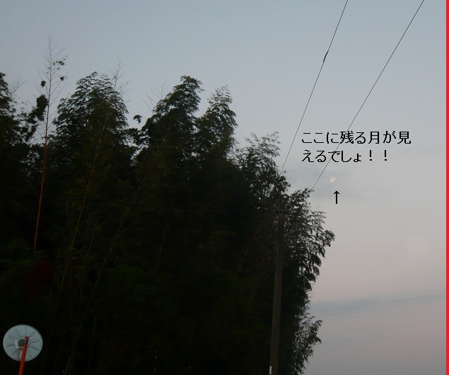 a0206332_7402837.jpg