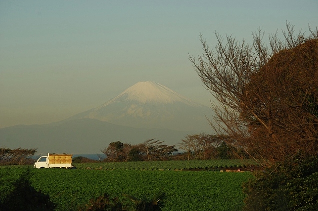 d0218238_2251441.jpg