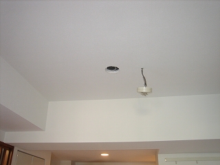 f0010138_2036471.jpg