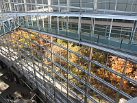 e0080345_11571362.jpg