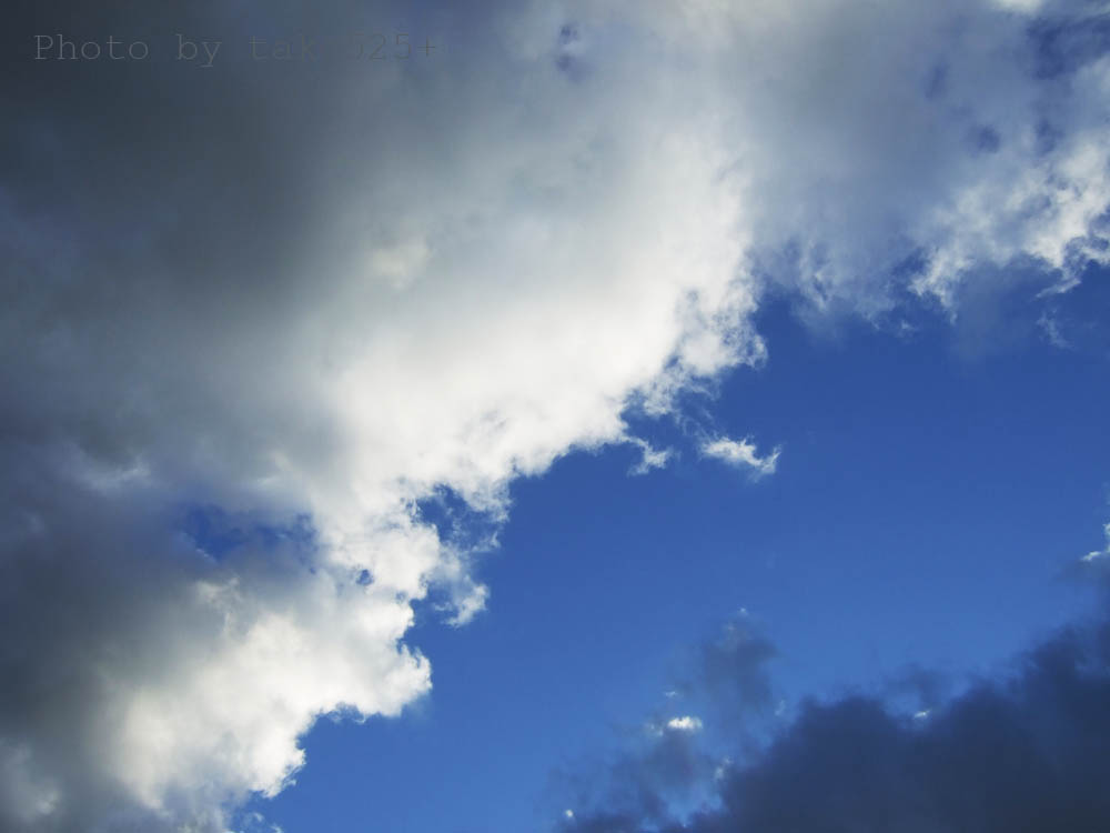 a0116946_223036.jpg