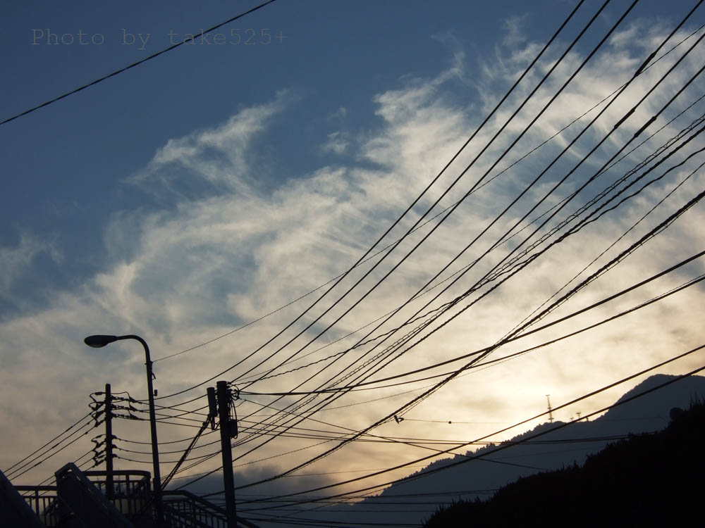 a0116946_22303763.jpg