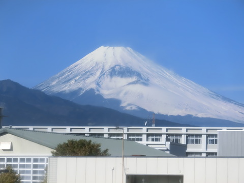 d0212451_2156744.jpg